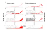 Landscape taphonomy in the Bonneville Basin