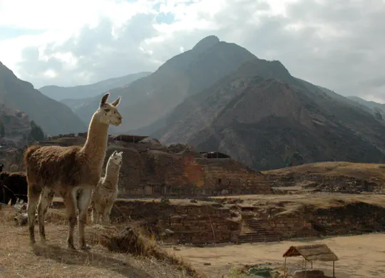 Programa de Investigación Arqueológica y Conservación Chavín de Huántar